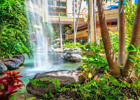 Hyatt Regency Waikiki Beach Resort & Spa 2