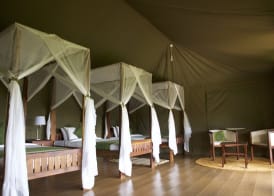 Karatu Simba Lodge 5