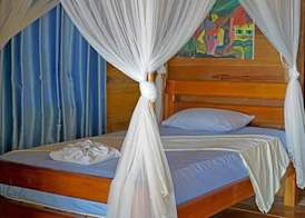 Tree House Bungalows 4