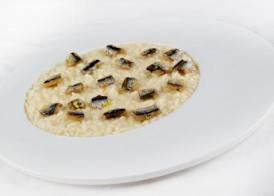 Hotel Tosco Romagnolo 3