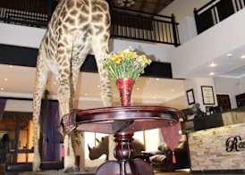 Bains Lodge - Sustainable Electricity 2