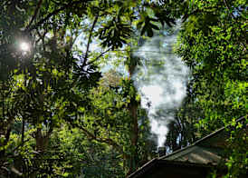 Narrows Escape Rainforest Retreat 4