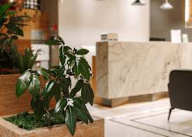 Bel Mare Boutique Hotel 5