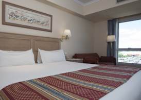 Holiday Inn CORDOBA by IHG 4