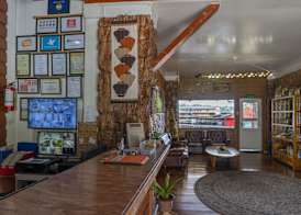 Old Orangewood Bed & Breakfast 4