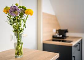 Servus Apartments by Homaris 4