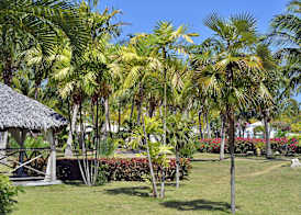Hotel Camino Del Mar 3