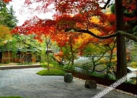 Hoshinoya 2