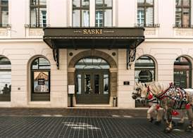 Hotel Saski Krakow Curio Collection by Hilton 5