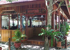 Tree House Bungalows 3