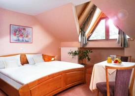 Hotel Sauerländer Hof 4