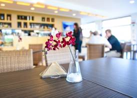 TH Lazise - Hotel Parchi Del Garda 3