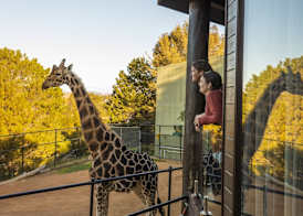Jamala Wildlife Lodge 4
