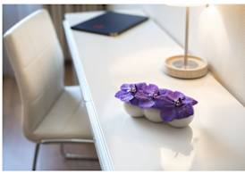 Hotel Ter Streep 4