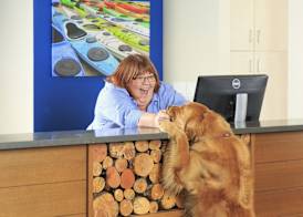 Accent Inns Kelowna 4
