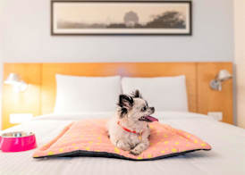 ibis Kochi City Centre - An Accor Brand 4