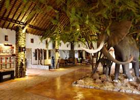 Wellworth Lake Manyara Kilimamoja Lodge 2