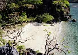 Sangat Island Dive Resort 3