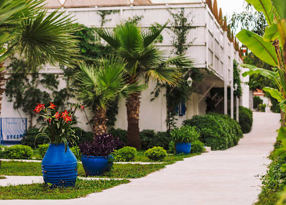 Monta Verde Hotel & Villas 1