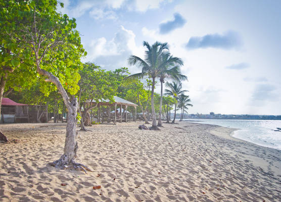 Résidence Tropicale 1