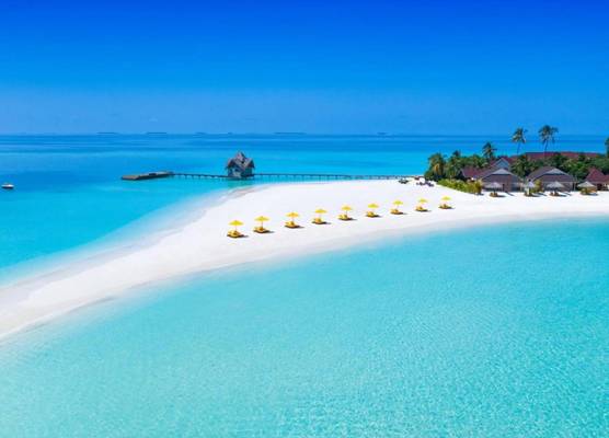 Dhigufaru Island Resort 1