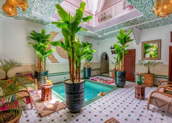 Riad Les Orangers du Desert & Spa 1