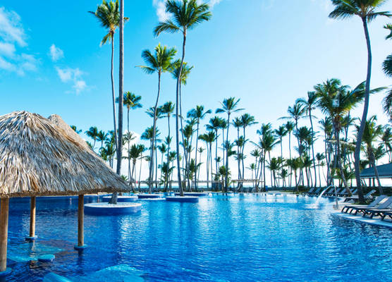 Barcelo Bavaro Beach, Adults Only 1