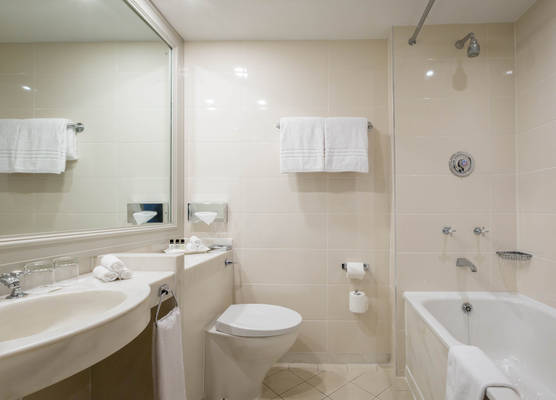 Castletroy Park Hotel 1