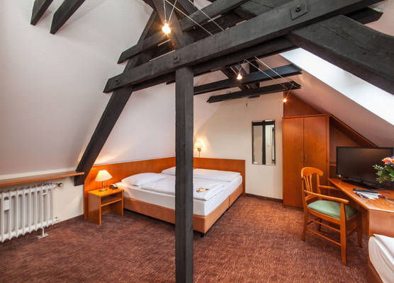 Hotel Ahl Meerkatzen 1