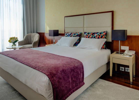VIP Executive Arts Hotel 1