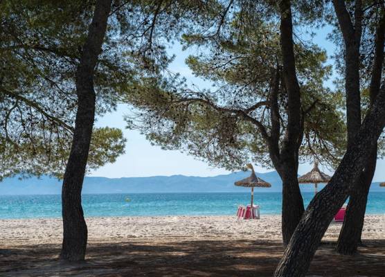 Apartamentos Caprice Playa de Alcudia 1