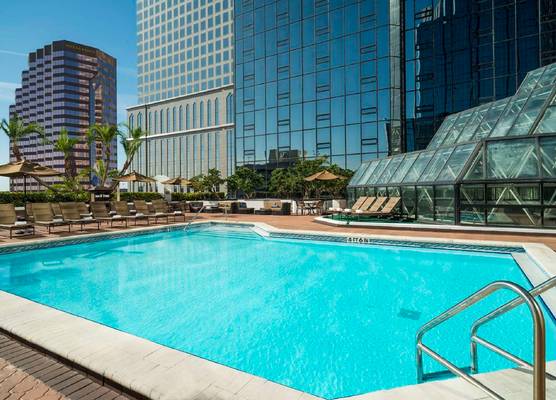 Hilton Tampa Downtown 1