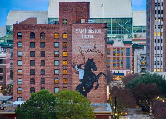 The Sam Houston, Tapestry Collection by Hilton 1