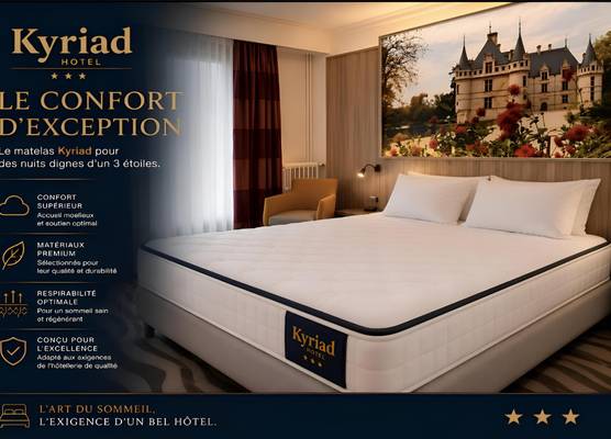 Kyriad Hotel Tours Centre 1