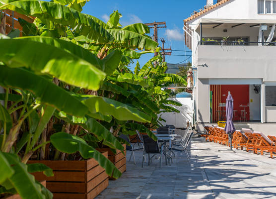 Mojo Hotel 1