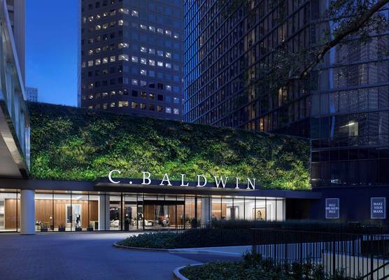 C. Baldwin, Curio Collection by Hilton 1