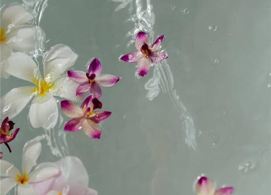 Grand Wailea, A Waldorf Astoria Resort 1