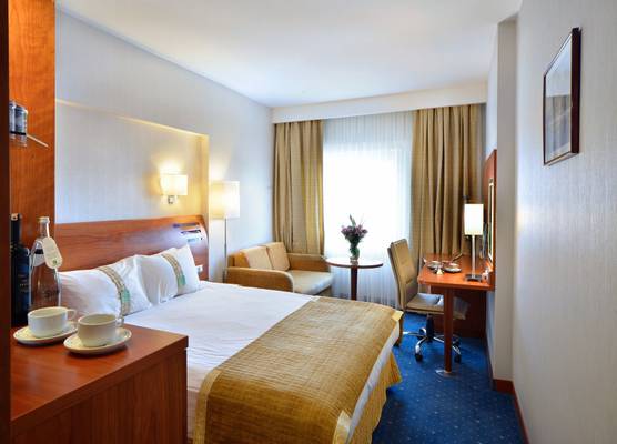 Holiday Inn ISTANBUL CITY by IHG 1