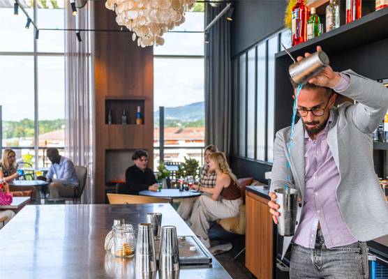 Novotel Annemasse Centre - Porte de Genève 1