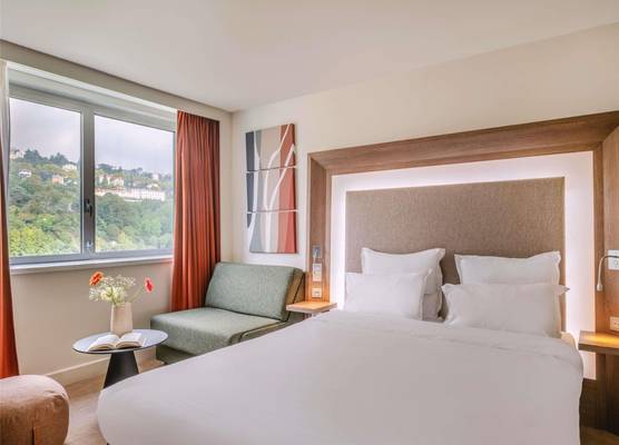 Novotel Lyon Centre Confluence Bord de Saone 1