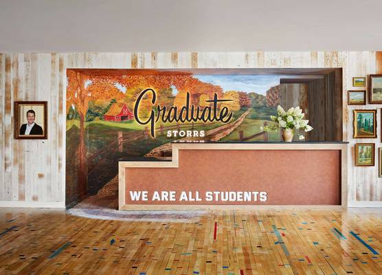 Graduate by Hilton Storrs 1