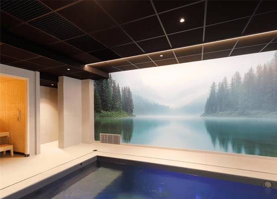 Kyriad Montbéliard Sochaux Hôtel & Spa 1