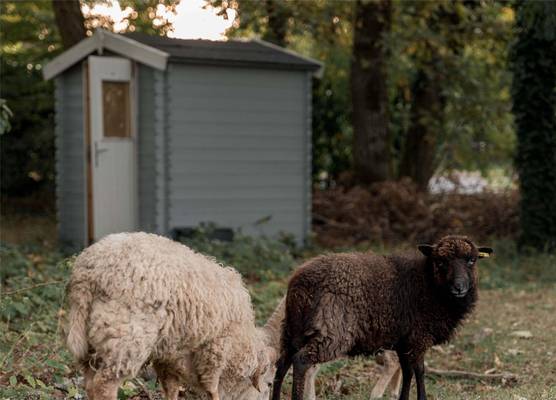 Novotel Orléans Chemins De Sologne Demeures De Campagne 1