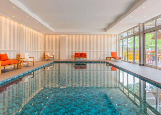 Pullman Toulouse 1