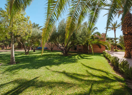 Dar 55 - Berber House - Boutique Hôtel & SPA 1