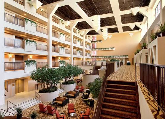 Hilton Stockton 1