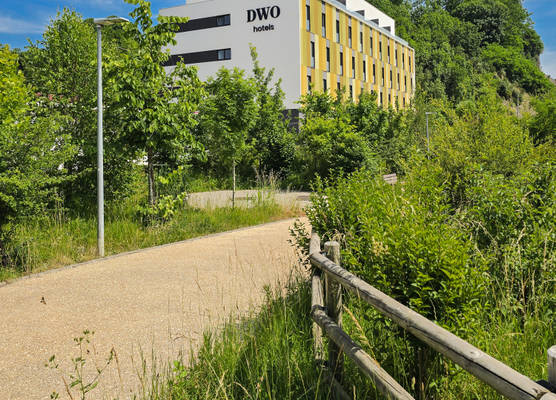 DWO San Sebastián 1