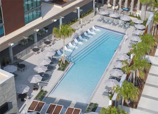 Hilton Jacksonville at Mayo Clinic near Beaches 1