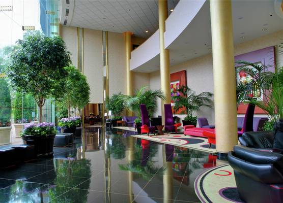 Hilton Washington Dulles Airport 1