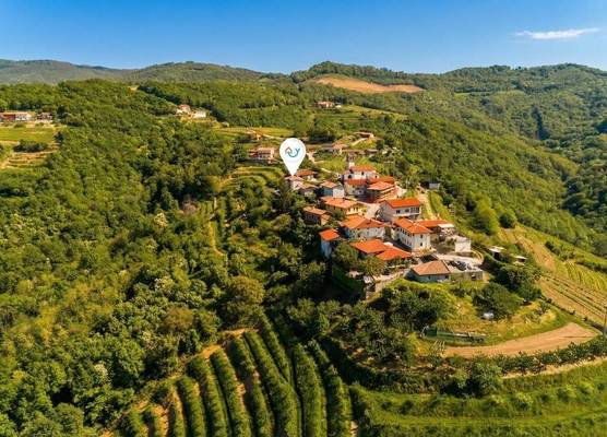 Neda Apartment: Terrace Views Goriska Brda 1